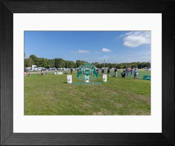 Framed Print : Sponsor Name James Wellbeloved Sunday 15th September 2024 Framed Print : Sponsor Name James Wellbeloved Sunday 15th September 2024