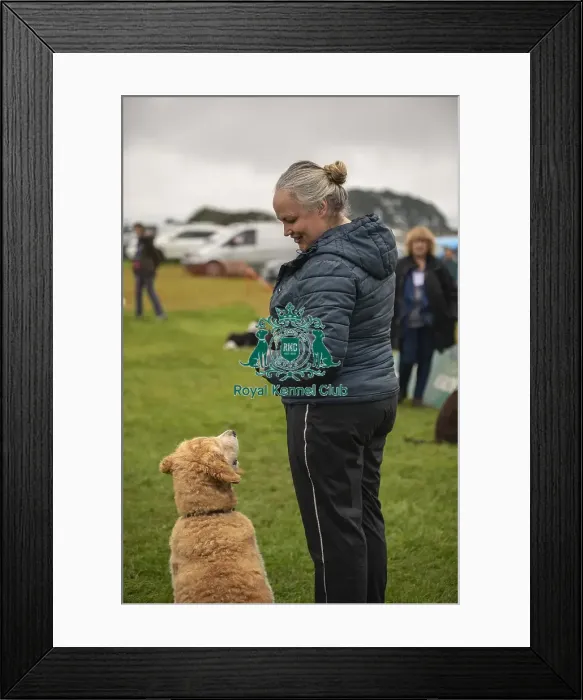 Framed Print : 22 / 09 / 24 Cornwall Good Citizen Dog Scheme Scruffts Framed Print : 22 / 09 / 24 Cornwall Good Citizen Dog Scheme Scruffts
