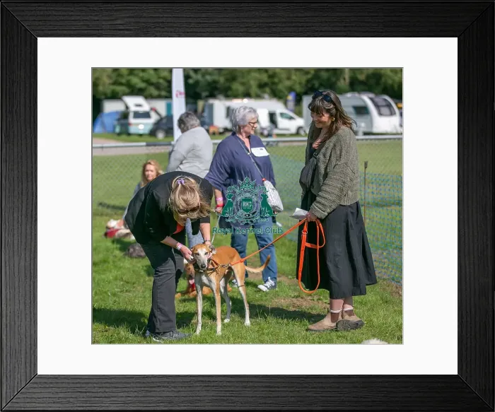 Framed Print : Sponsor Name James Wellbeloved Sunday 15th September 2024 Framed Print : Sponsor Name James Wellbeloved Sunday 15th September 2024