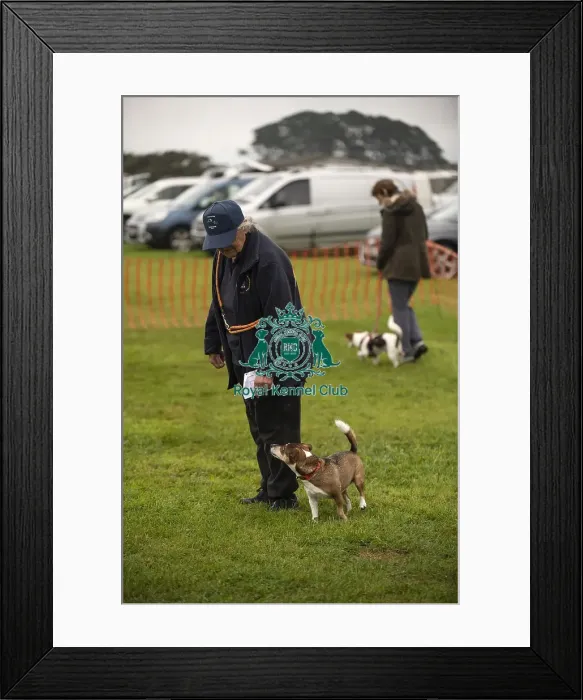 Framed Print : 22 / 09 / 24 Cornwall Good Citizen Dog Scheme Scruffts Framed Print : 22 / 09 / 24 Cornwall Good Citizen Dog Scheme Scruffts