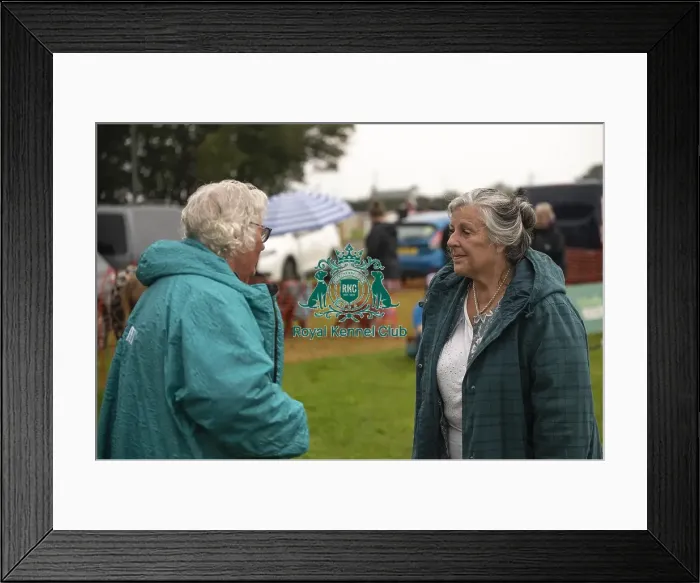 Framed Print : Scruffts Family Crossbreed of the Year competition All About Dogs Cornwall Framed Print : Scruffts Family Crossbreed of the Year competition All About Dogs Cornwall
