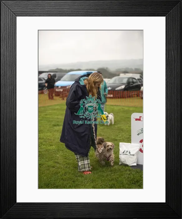 Framed Print : Scruffts Family Crossbreed of the Year competition All About Dogs Cornwall Framed Print : Scruffts Family Crossbreed of the Year competition All About Dogs Cornwall