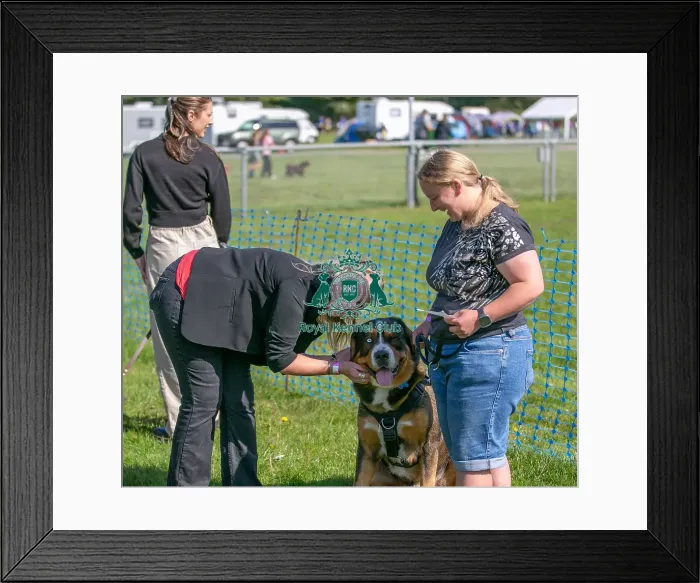Framed Print : Sunday 15th September 2024 Detling Showground Framed Print : Sunday 15th September 2024 Detling Showground