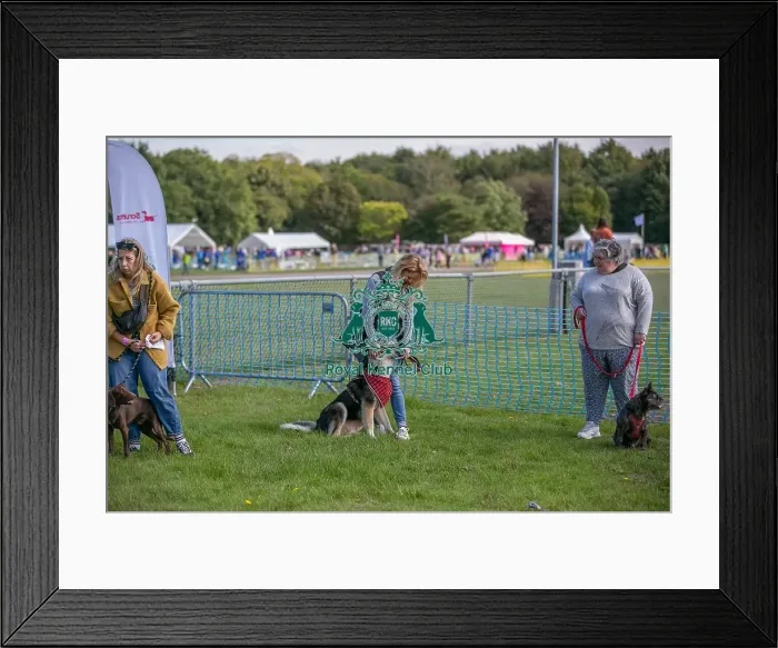 Framed Print : Sponsor Name James Wellbeloved Sunday 15th September 2024 Framed Print : Sponsor Name James Wellbeloved Sunday 15th September 2024