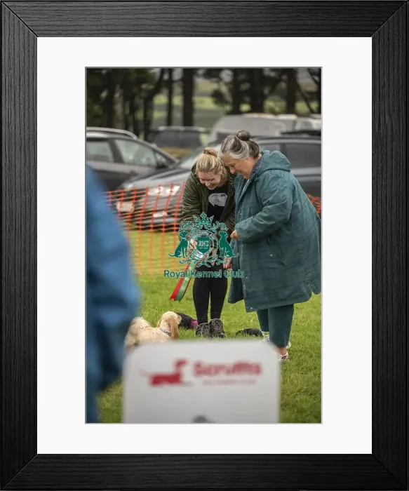 Framed Print : Scruffts Family Crossbreed of the Year competition All About Dogs Cornwall Framed Print : Scruffts Family Crossbreed of the Year competition All About Dogs Cornwall