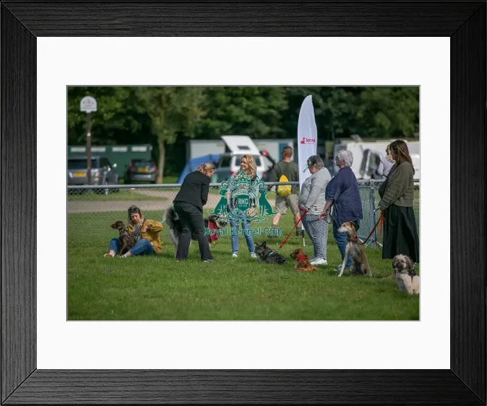 Framed Print : Sponsor Name James Wellbeloved Sunday 15th September 2024 Framed Print : Sponsor Name James Wellbeloved Sunday 15th September 2024