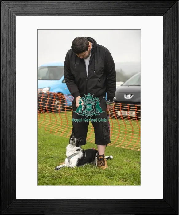 Framed Print : Scruffts Family Crossbreed of the Year competition All About Dogs Cornwall Framed Print : Scruffts Family Crossbreed of the Year competition All About Dogs Cornwall