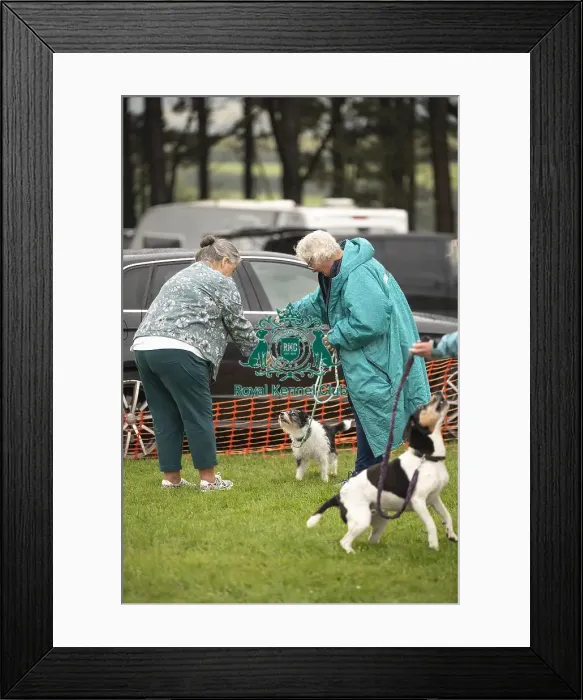 Framed Print : Scruffts Family Crossbreed of the Year competition All About Dogs Cornwall Framed Print : Scruffts Family Crossbreed of the Year competition All About Dogs Cornwall