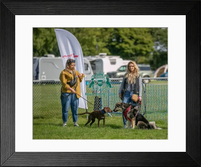 Framed Print : Sponsor Name James Wellbeloved Sunday 15th September 2024 Framed Print : Sponsor Name James Wellbeloved Sunday 15th September 2024