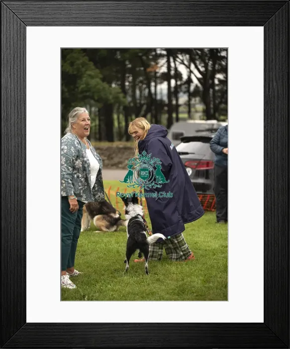 Framed Print : Scruffts Family Crossbreed of the Year competition All About Dogs Cornwall Framed Print : Scruffts Family Crossbreed of the Year competition All About Dogs Cornwall