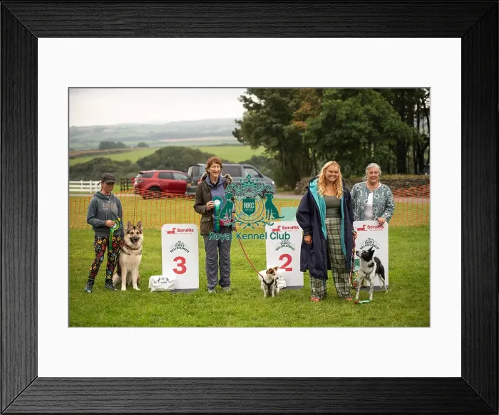 Framed Print : Winners_at_Scruffts_All_About_Dogs_Cornwall Framed Print : Winners_at_Scruffts_All_About_Dogs_Cornwall