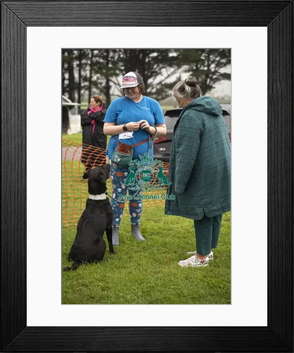 Framed Print : Scruffts Family Crossbreed of the Year competition All About Dogs Cornwall 22 / 09 / 24 Framed Print : Scruffts Family Crossbreed of the Year competition All About Dogs Cornwall 22 / 09 / 24