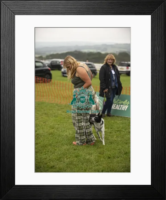 Framed Print : Scruffts Family Crossbreed of the Year competition All About Dogs Cornwall Framed Print : Scruffts Family Crossbreed of the Year competition All About Dogs Cornwall