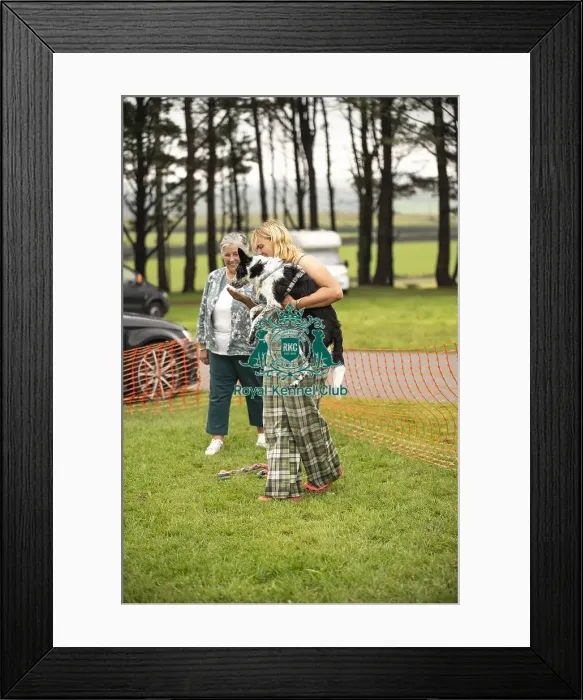 Framed Print : 1st 22 / 09 / 24 Cornwall Good Citizen Dog Scheme Framed Print : 1st 22 / 09 / 24 Cornwall Good Citizen Dog Scheme