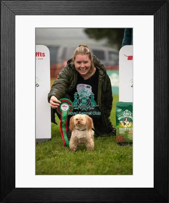 Framed Print : Winners_at_Scruffts_All_About_Dogs_Cornwall Framed Print : Winners_at_Scruffts_All_About_Dogs_Cornwall