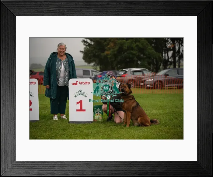 Framed Print : Winners_at_Scruffts_All_About_Dogs_Cornwall