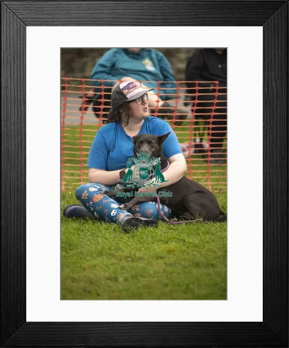Framed Print : Scruffts Family Crossbreed of the Year competition All About Dogs Cornwall Framed Print : Scruffts Family Crossbreed of the Year competition All About Dogs Cornwall