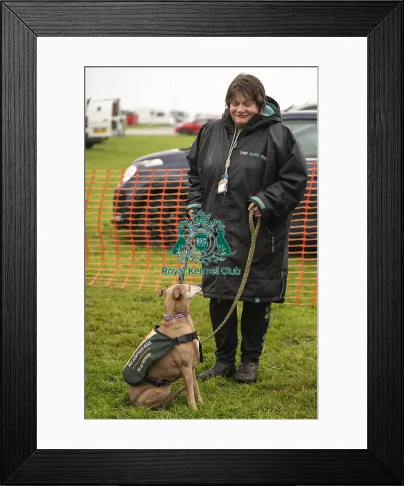 Framed Print : Scruffts Family Crossbreed of the Year competition All About Dogs Cornwall Framed Print : Scruffts Family Crossbreed of the Year competition All About Dogs Cornwall