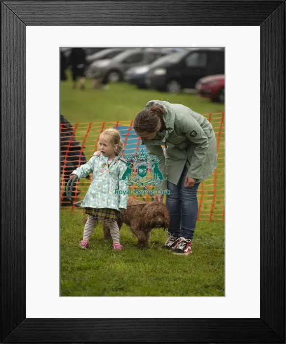 Framed Print : Scruffts Family Crossbreed of the Year competition All About Dogs Cornwall Framed Print : Scruffts Family Crossbreed of the Year competition All About Dogs Cornwall