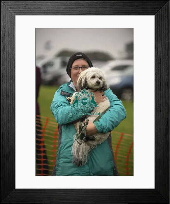 Framed Print : Scruffts Family Crossbreed of the Year competition All About Dogs Cornwall Framed Print : Scruffts Family Crossbreed of the Year competition All About Dogs Cornwall