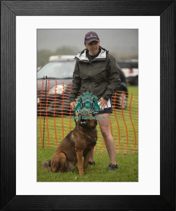 Framed Print : Scruffts Family Crossbreed of the Year competition All About Dogs Cornwall 22 / 09 / 24