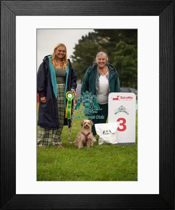 Framed Print : Winners_at_Scruffts_All_About_Dogs_Cornwall Framed Print : Winners_at_Scruffts_All_About_Dogs_Cornwall