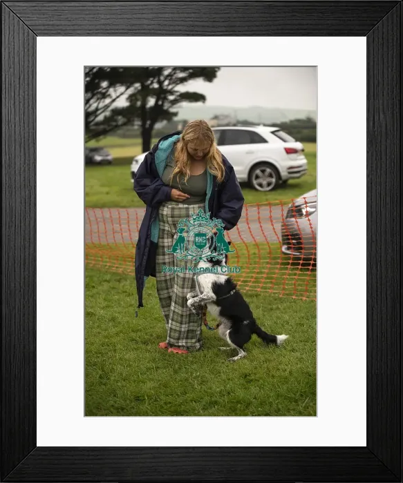 Framed Print : 1st 22 / 09 / 24 Cornwall Good Citizen Dog Scheme