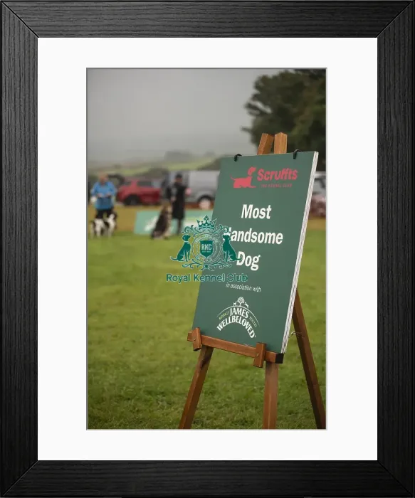 Framed Print : Scruffts Family Crossbreed of the Year competition All About Dogs Cornwall 22 / 09 / 24 Framed Print : Scruffts Family Crossbreed of the Year competition All About Dogs Cornwall 22 / 09 / 24