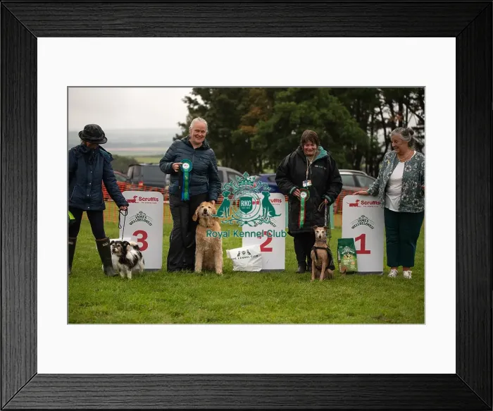 Framed Print : Winners_at_Scruffts_All_About_Dogs_Cornwall Framed Print : Winners_at_Scruffts_All_About_Dogs_Cornwall