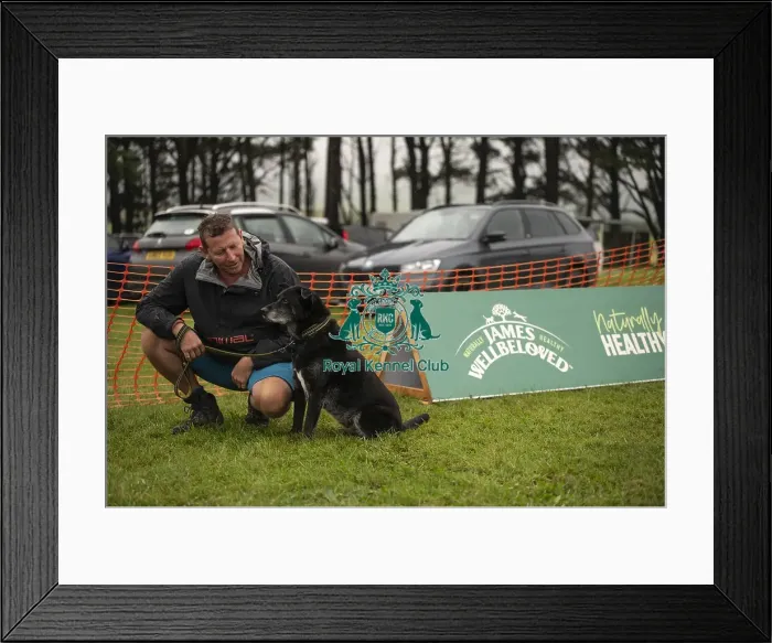 Framed Print : Scruffts Family Crossbreed of the Year competition All About Dogs Cornwall