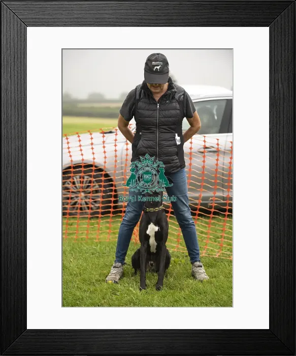Framed Print : Scruffts Family Crossbreed of the Year competition All About Dogs Cornwall 22 / 09 / 24 Framed Print : Scruffts Family Crossbreed of the Year competition All About Dogs Cornwall 22 / 09 / 24