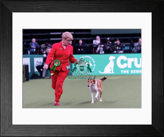 Framed Print : Tracey Holmes from Wigan, Lancashire Framed Print : Tracey Holmes from Wigan, Lancashire