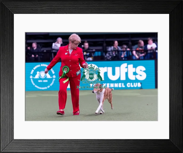 Framed Print : Tracey Holmes from Wigan, Lancashire Framed Print : Tracey Holmes from Wigan, Lancashire