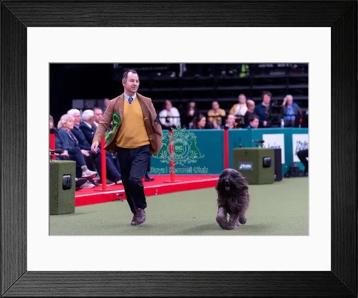 Framed Print : Joao Carvalho from Portugal, with Jado Framed Print : Joao Carvalho from Portugal, with Jado