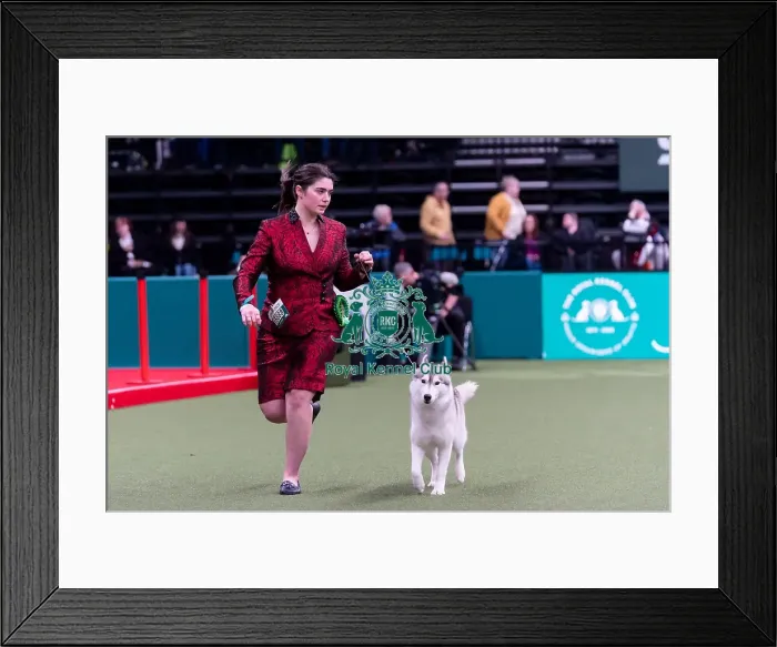 Framed Print : Paige Spencer from Downham Market Framed Print : Paige Spencer from Downham Market