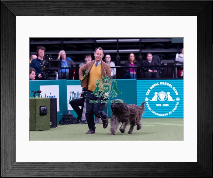 Framed Print : Joao Carvalho from Portugal, with Jado Framed Print : Joao Carvalho from Portugal, with Jado