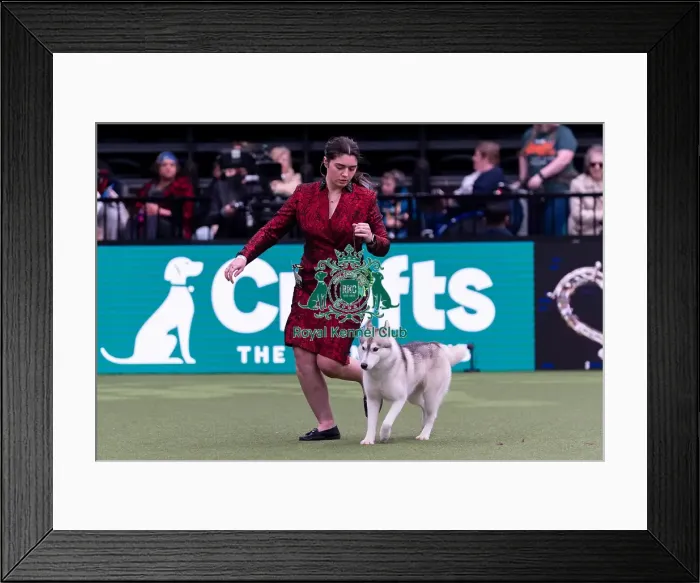 Framed Print : Paige Spencer from Downham Market Framed Print : Paige Spencer from Downham Market