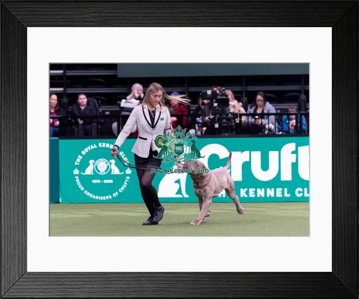 Framed Print : Charlotte Evans from Boston, Linconshire with Georgie Framed Print : Charlotte Evans from Boston, Linconshire with Georgie