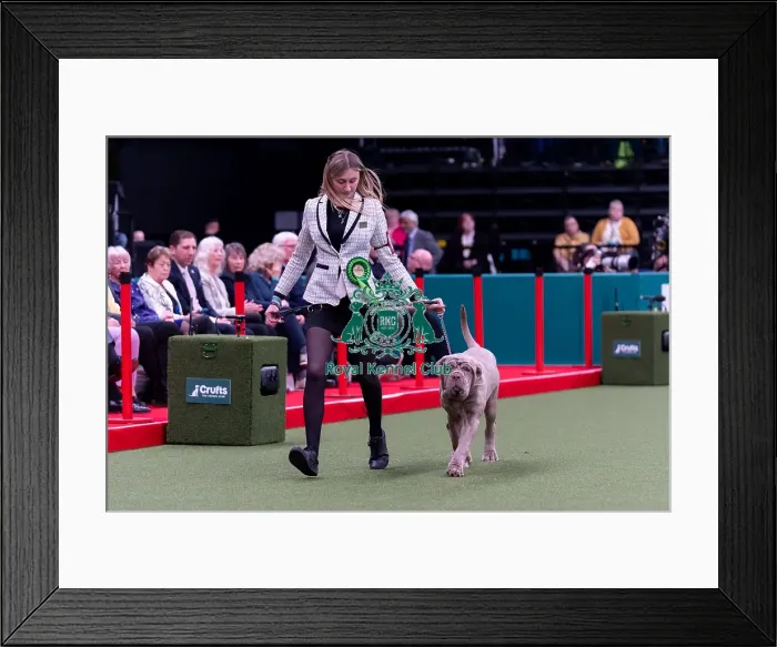 Framed Print : Charlotte Evans from Boston, Linconshire with Georgie Framed Print : Charlotte Evans from Boston, Linconshire with Georgie