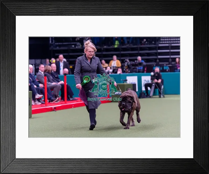Framed Print : Theresa Andrews from Swadlincote Framed Print : Theresa Andrews from Swadlincote