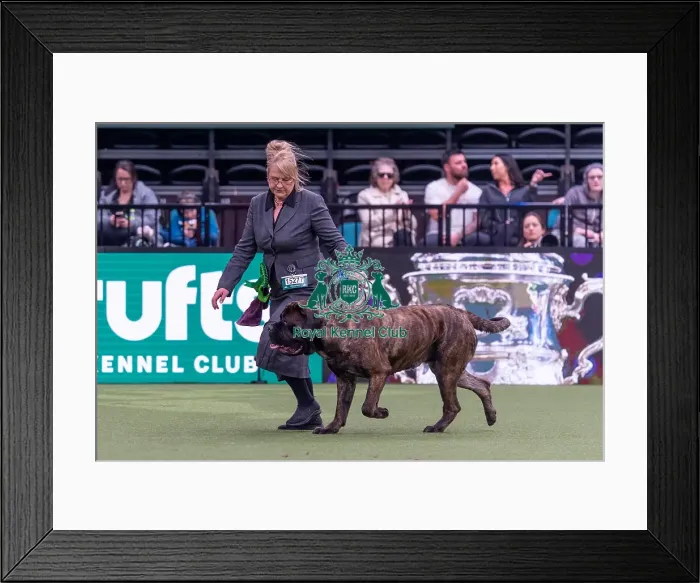 Framed Print : Theresa Andrews from Swadlincote Framed Print : Theresa Andrews from Swadlincote