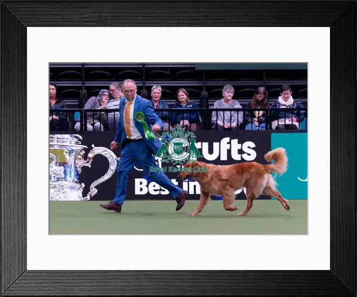Framed Print : Matthijs Bos from Bannow, Ireland with Izzy Framed Print : Matthijs Bos from Bannow, Ireland with Izzy