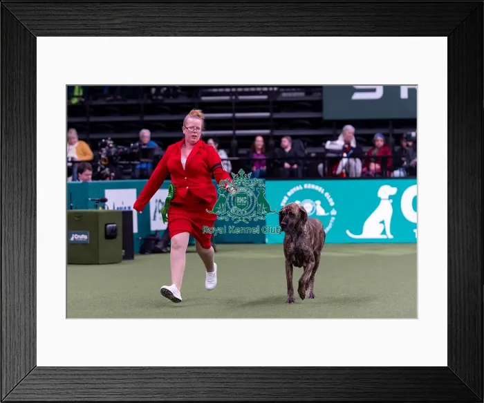 Framed Print : Candice Dyson from Halifax with Shirley Framed Print : Candice Dyson from Halifax with Shirley
