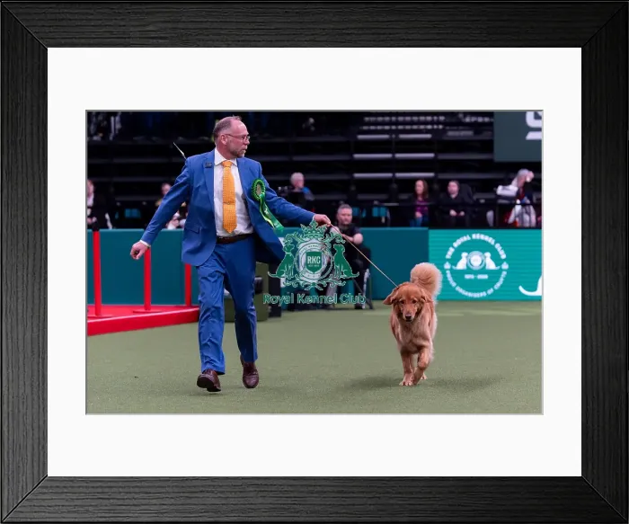 Framed Print : Matthijs Bos from Bannow, Ireland with Izzy Framed Print : Matthijs Bos from Bannow, Ireland with Izzy