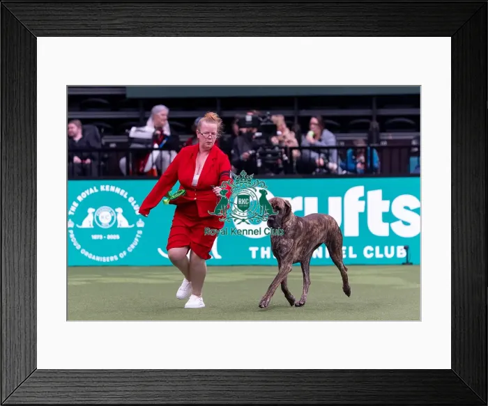 Framed Print : Candice Dyson from Halifax with Shirley Framed Print : Candice Dyson from Halifax with Shirley
