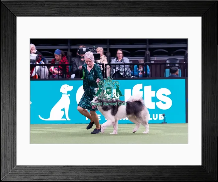 Framed Print : Pat Byrne from Staffordshire with Kai Framed Print : Pat Byrne from Staffordshire with Kai