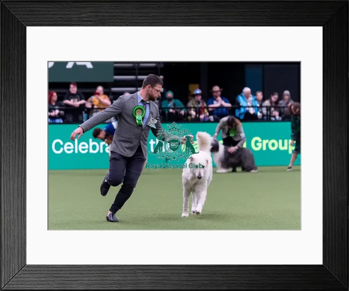 Framed Print : Gabor Padd from Hungary with Gubane