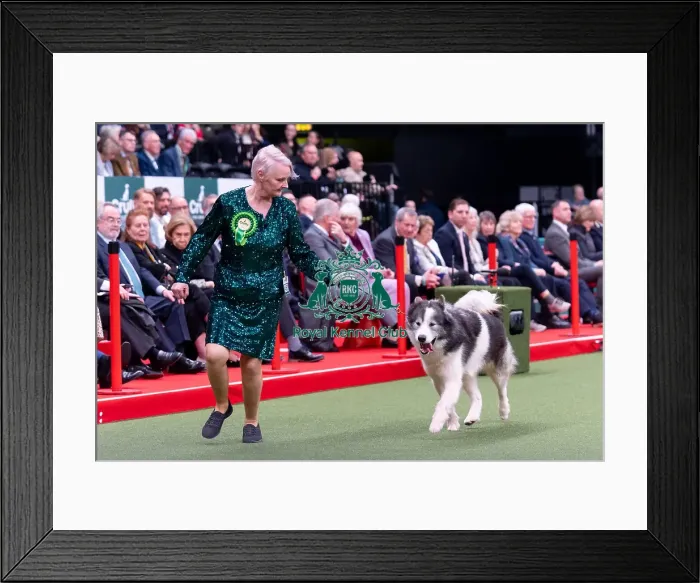 Framed Print : Pat Byrne from Staffordshire with Kai Framed Print : Pat Byrne from Staffordshire with Kai