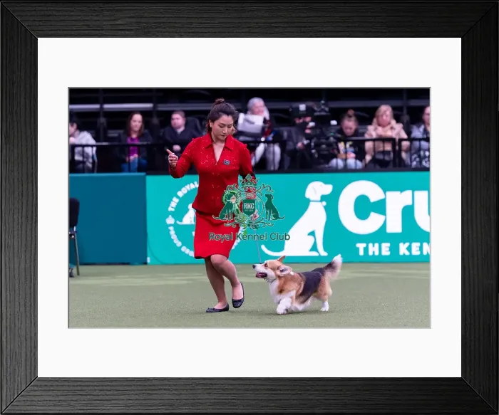 Framed Print : Jianin Xu from Spain with Moonie