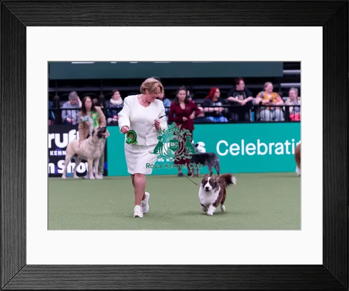 Framed Print : Rachel Dijkhorst from Netherlands with Bob Framed Print : Rachel Dijkhorst from Netherlands with Bob